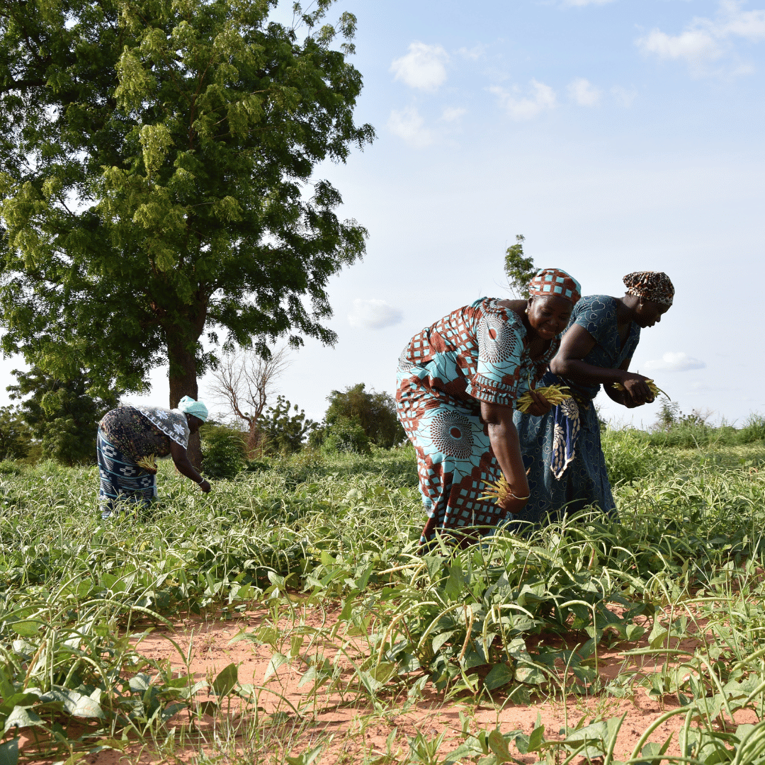 Déjeuners solidaires 2025 organisé par SOS Faim Luxembourg.