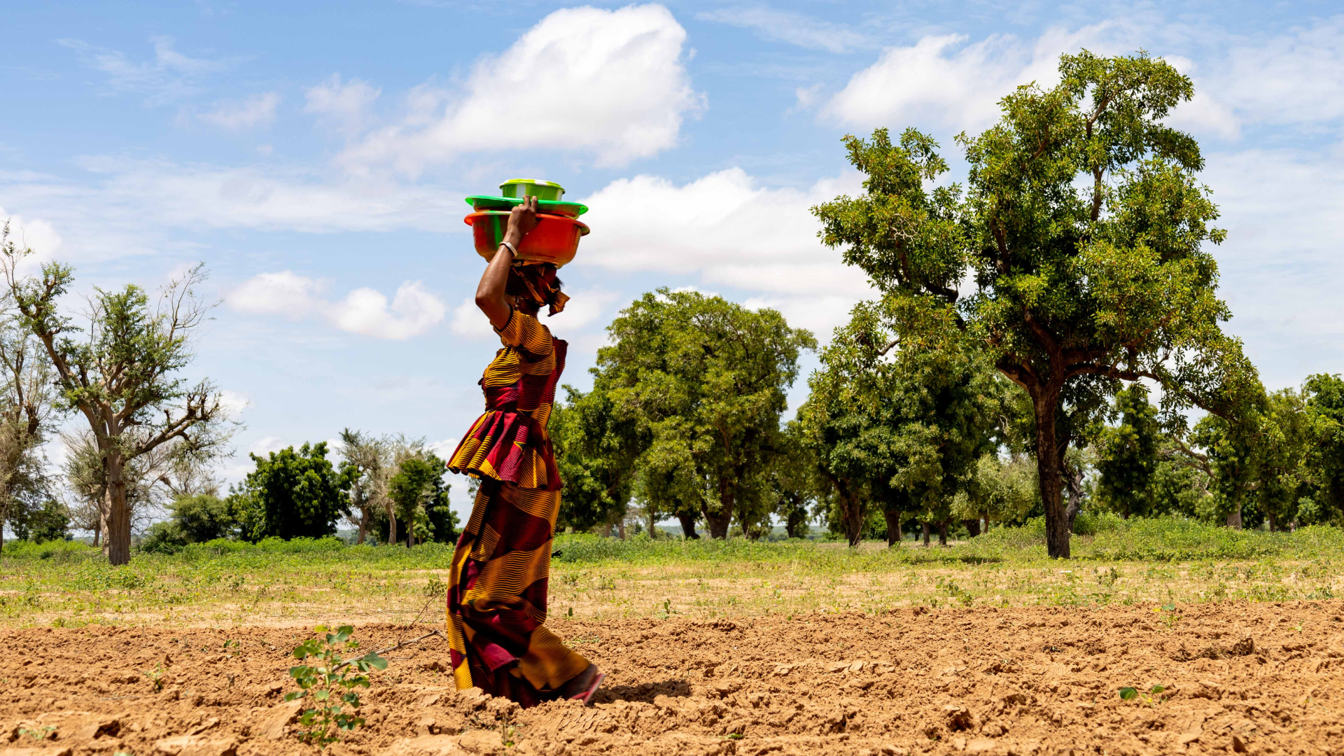 Une agricultrice traverse un champ en Afrique, illustrant les enjeux de l'agriculture familiale et de la sécurité alimentaire.