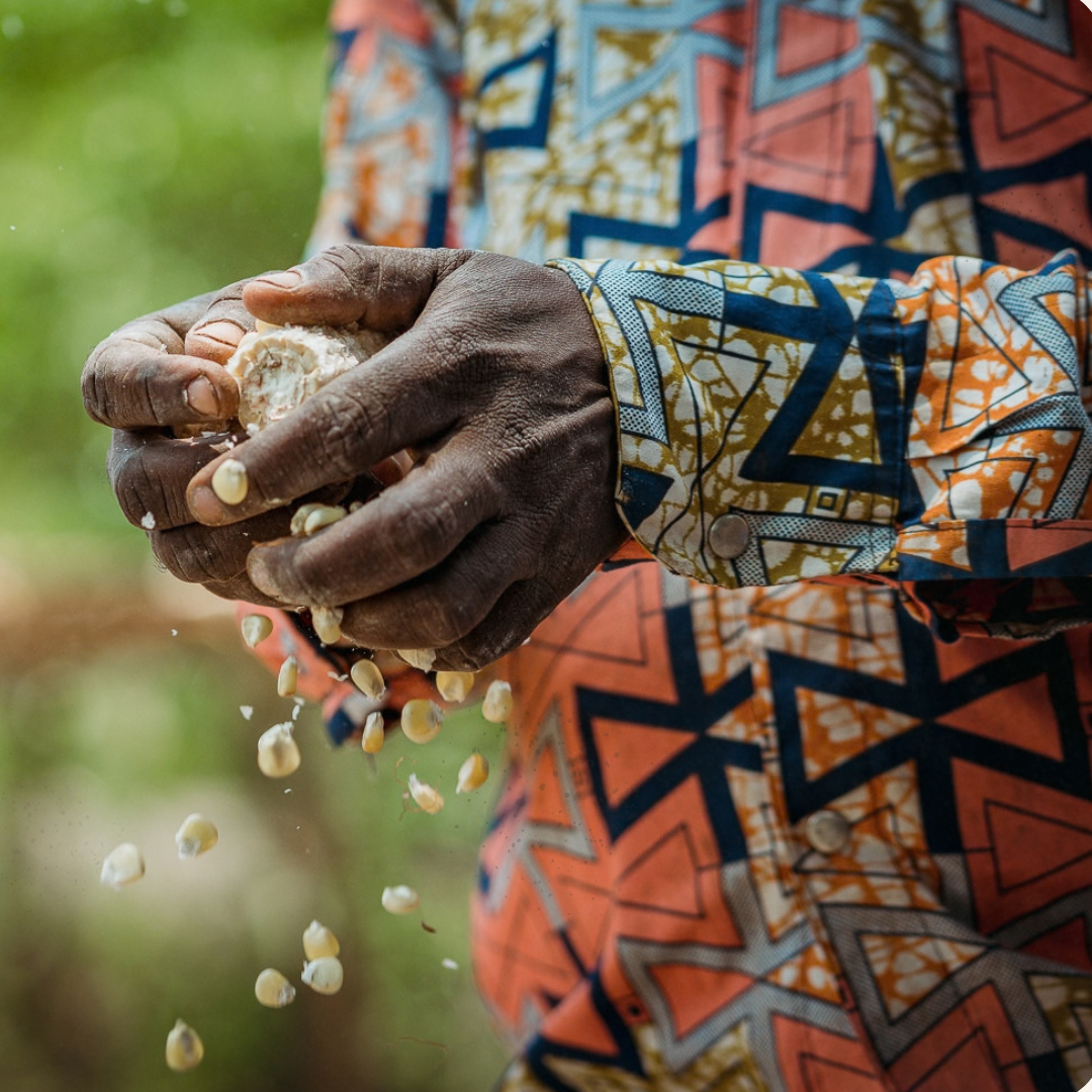 Mains égrenant du maïs et annonce des quatre rendez-vous SOS Faim pour la Journée mondiale de l’alimentation, du 12 au 17 octobre 2026.